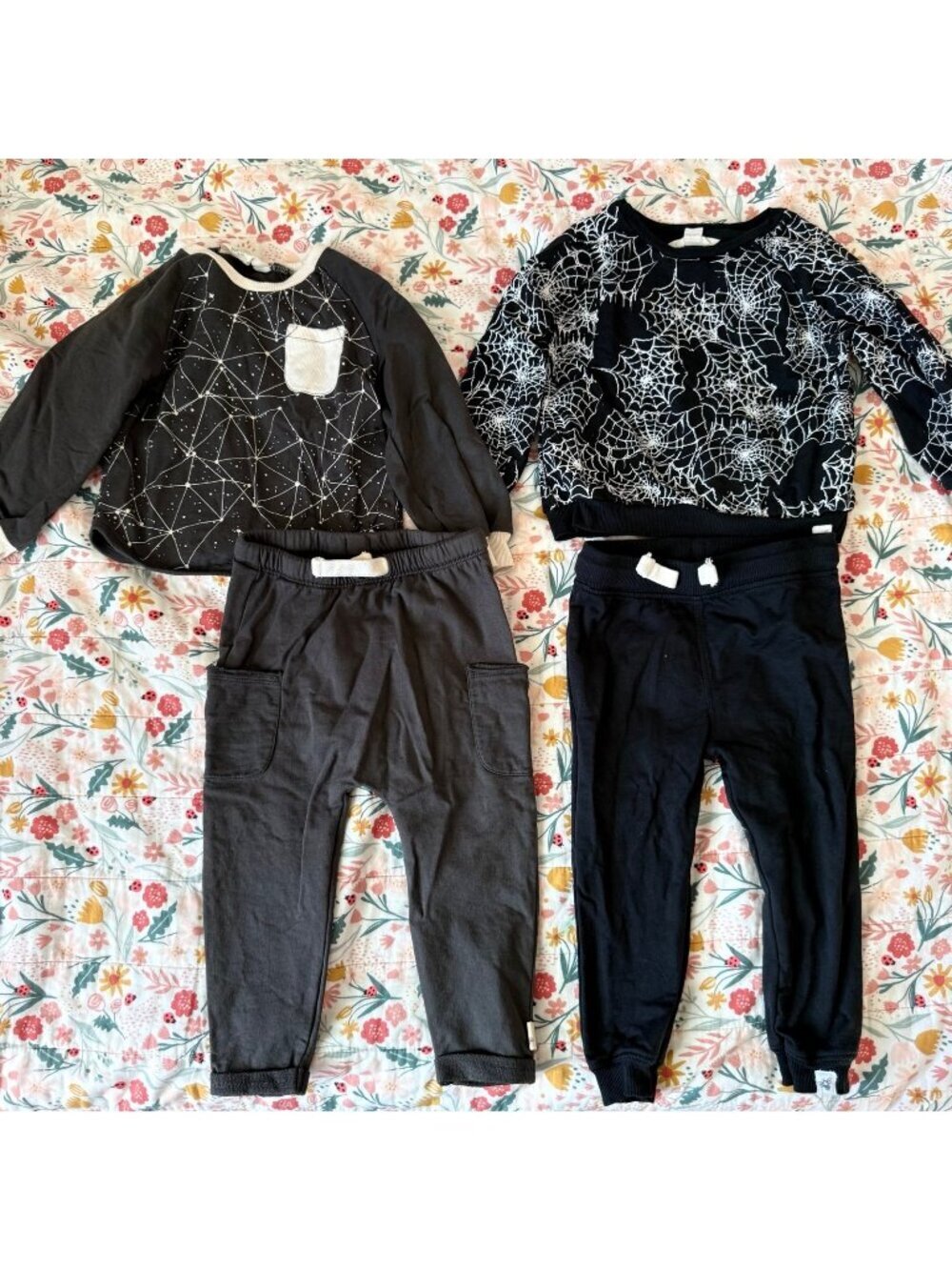 Burt’s Bees Baby boy bundle 18 months EUC